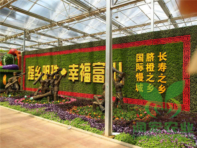 五色草造型