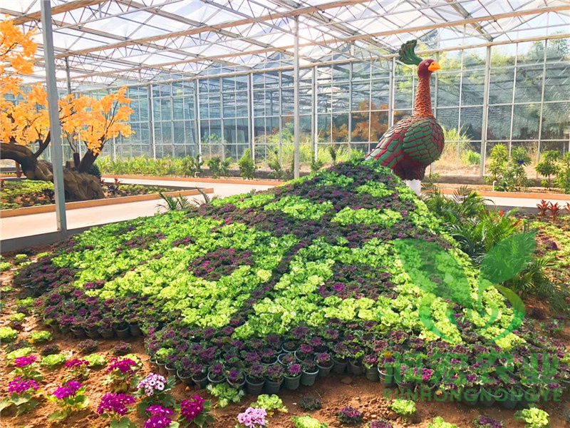 绿植景观